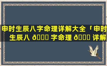 申时生辰八字命理详解大全「申时生辰八 🐞 字命理 💐 详解大全图片」